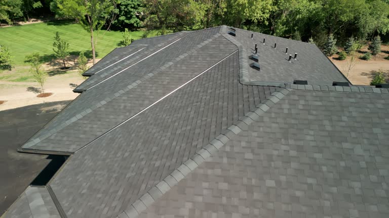 Roof Coating Services in Mountlake Terrace, WA