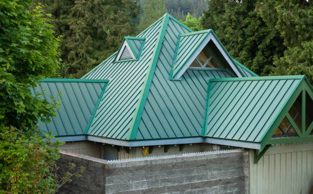 Best Roof Moss and Algae Removal  in Mountlake Terrace, WA